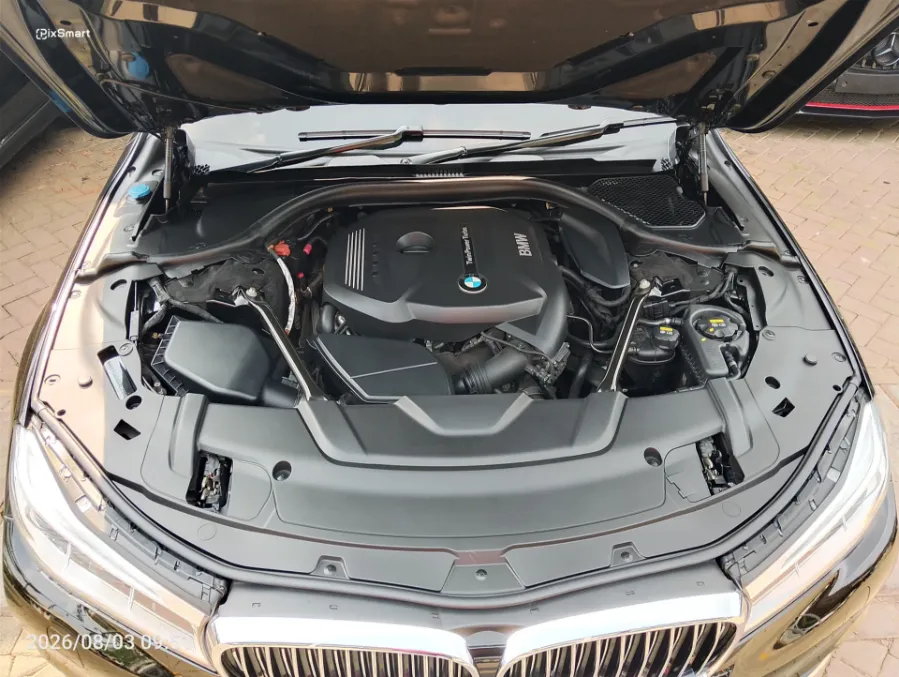 Foto Mobil Bekas Mesin BMW 730Li 2.0 tahun 2019
