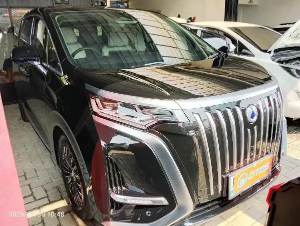 2023 Denza D9 Standard