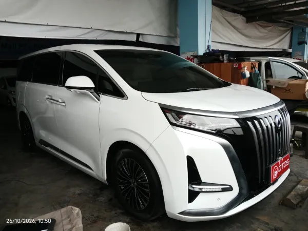 2025 Denza D9 Standard