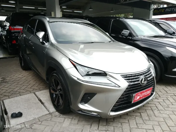 2018 Lexus NX 300 2.0