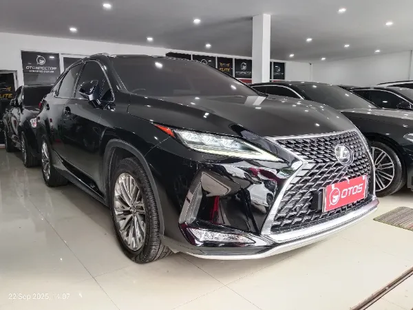2019 Lexus RX 300 2.0 Luxury