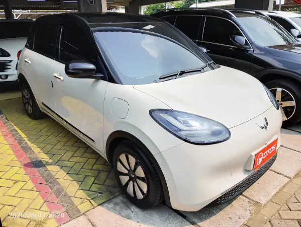 2024 Wuling Binguo Premium Range - Foto 1 dari 5