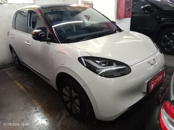 2024 Wuling Binguo Premium Range